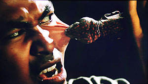 The Lizard Woman