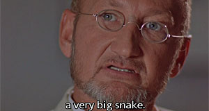 Python