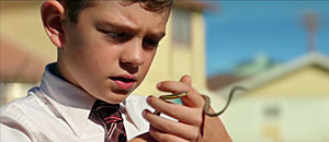 Suburbicon
