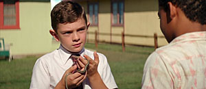 Suburbicon