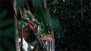 Tarzan the Ape Man Screenshot