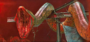 Snake Movie Screenshot
