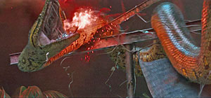 Snake Movie Screenshot