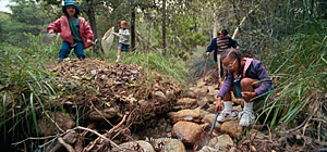 Salamander Screenshot