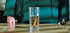 Salamander Screenshot