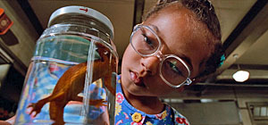 Salamander Screenshot