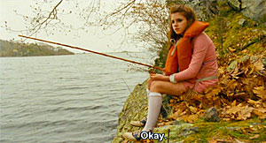 Moonrise Kingdom Turtle