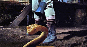 Queer Snake Scene Screenshot