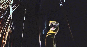 Queer Snake Scene Screenshot