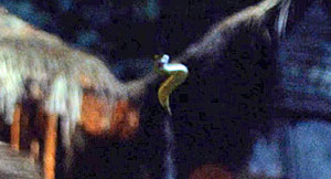 Queer Snake Scene Screenshot