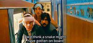 Darjeeling Limited Snake Screenshot
