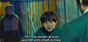 Turtle Screenshot