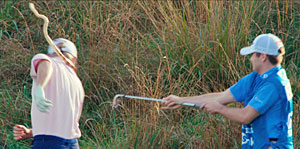 Snake Movie Screenshot