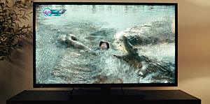 Alligator Screenshot