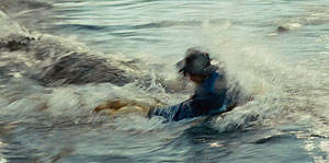 Alligator Screenshot