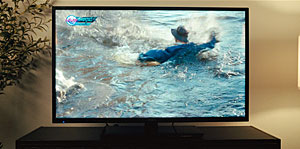 Alligator Screenshot