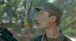 Hot Shots Deux