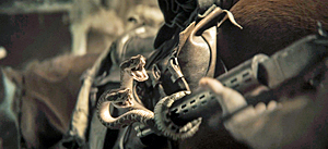 In The Lost Lands Snake