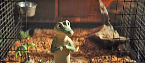 Crocodile Movie Screen Shot