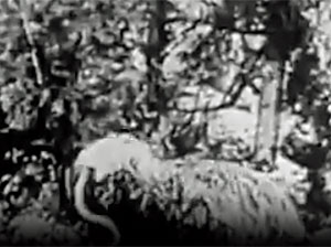 Monsters of the Past Screenshot