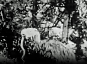 Monsters of the Past Screenshot