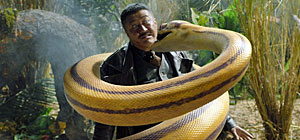 Python Island Screenshot