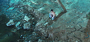 Python Island Screenshot