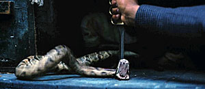 Rattlesnake Screenshot
