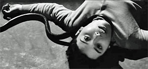 Snake Movie Screenshot
