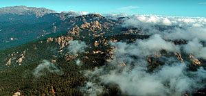 Salamander Screenshot