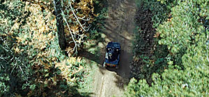 Salamander Screenshot