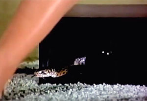 Snake Movie Screenshot