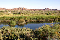 Texas Spiny Softshell Habitat