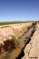 Texas Spiny Softshell Habitat