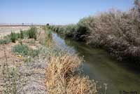 Texas Spiny Softshell Habitat