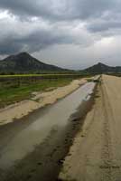 Western Spadefoot Habitat