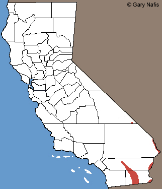 Rocky mountain toad Range Map