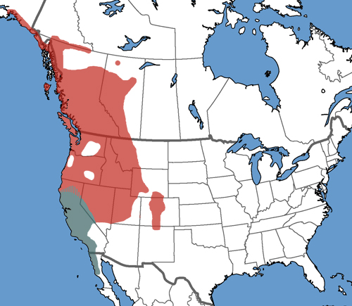 Full Species Range Map
