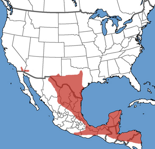 Full Species Range Map