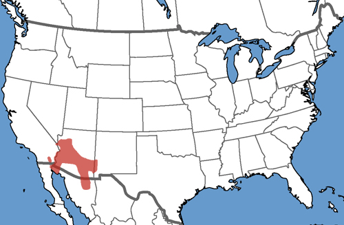 Full Species Range Map