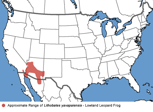 Full Species Range Map
