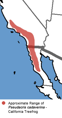 Full Species Range Map