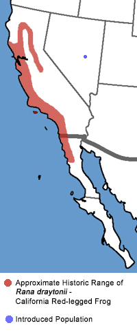 Full Species Range Map