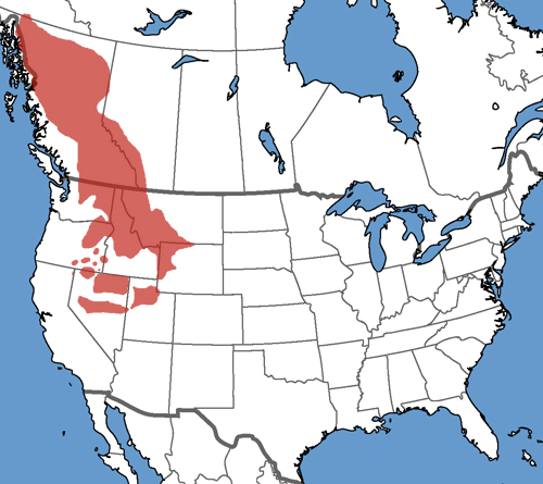 Full Species Range Map