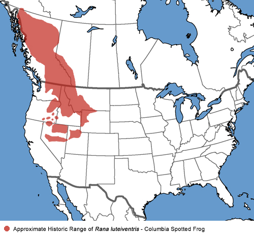 Full Species Range Map