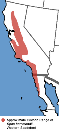 Range Map