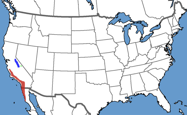 Full Species Range Map