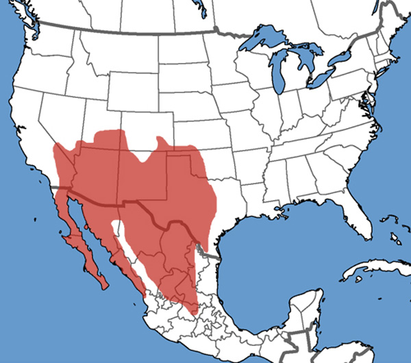 Full Species Range Map