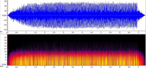 sonogram