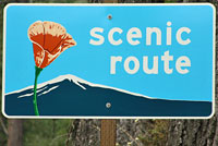 scenic route